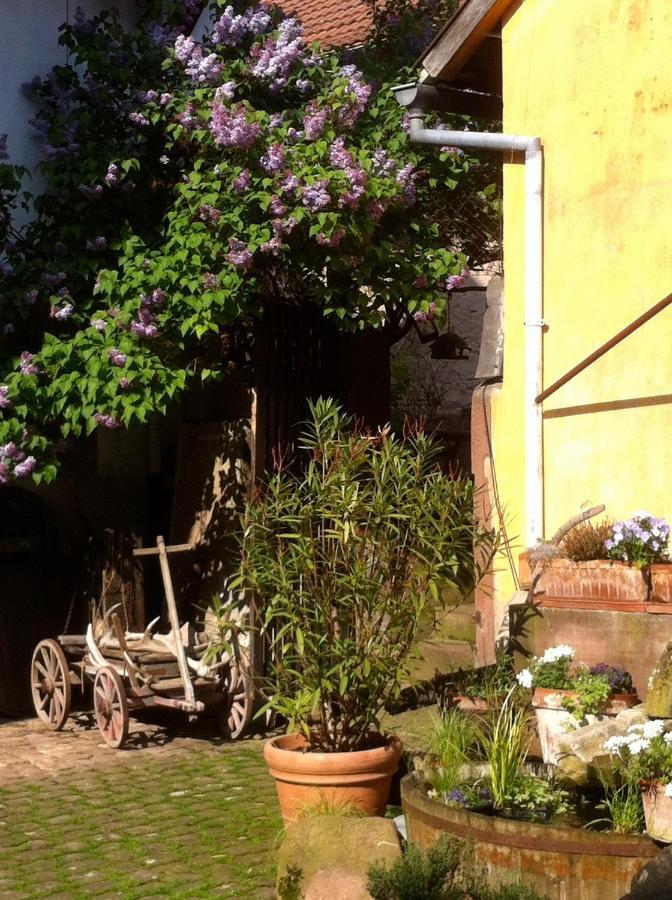 Westhoffen La Maison De Caroline מראה חיצוני תמונה