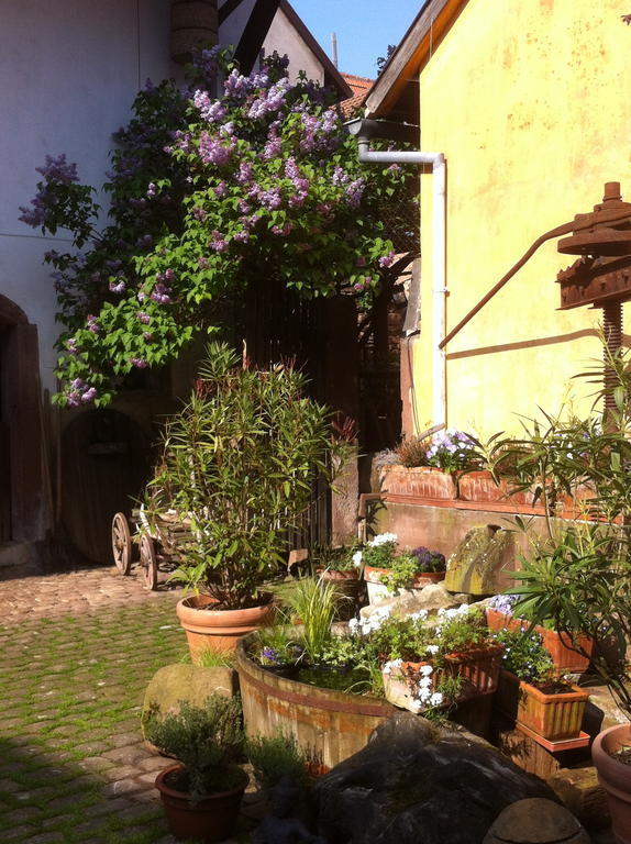 Westhoffen La Maison De Caroline מראה חיצוני תמונה